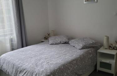 Appartement T3 très calme - Le Bartholdi - Centre de Colmar - Photo 8