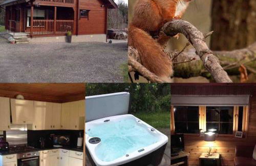Red Squirrel log cabin with hot tub - Foto 1