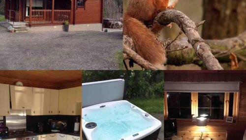 Red Squirrel log cabin with hot tub - Foto 1