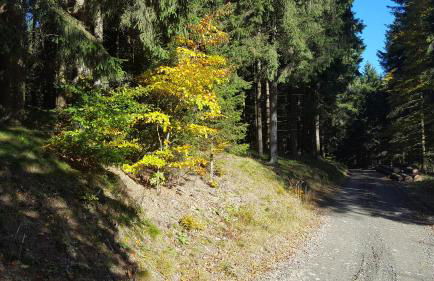 Ferienhaus Bergidylle - Photo 50