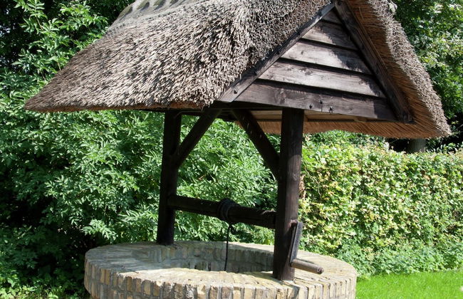 Mansion in Nijensleek With Sauna & Garden - Foto 29