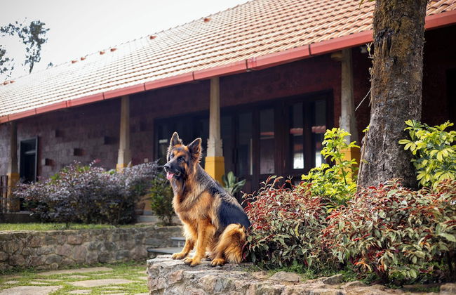 Amã Stays & Trails Alpenhof , Coorg - Foto 58