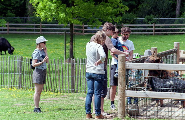 Cozy Lodge in the Achterhoek - Foto 24
