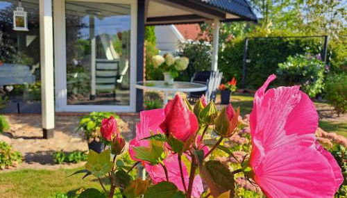 App Gutmann - Foto 1