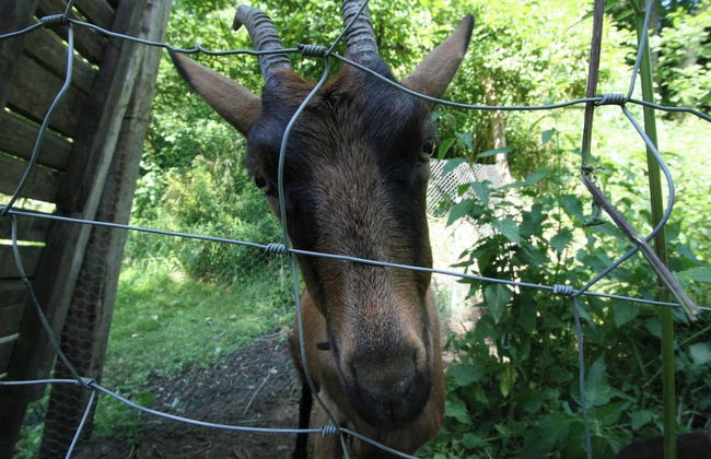 Cottage With Bubble Bath - Photo 24
