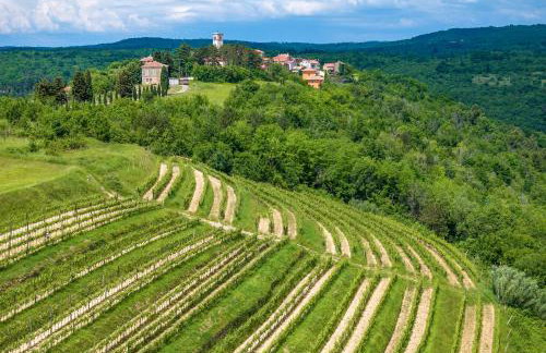 Holiday Homes in Barban - Istrien 10863 - Foto 17