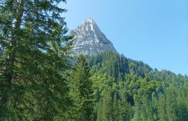 Ferienwohnung Ilona, Armin & Simon Funke - Photo 10