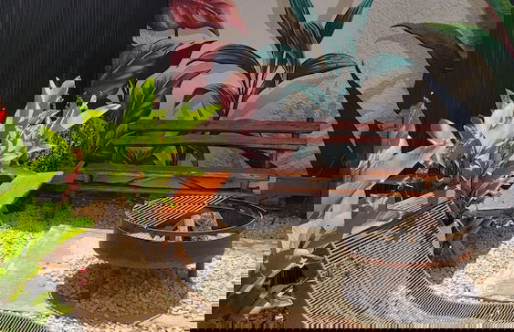 La Belle San Isidro Lofts - Foto 33