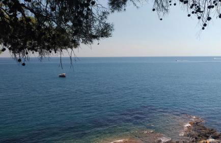 La Strelitzia Cervo Mare - Foto 21