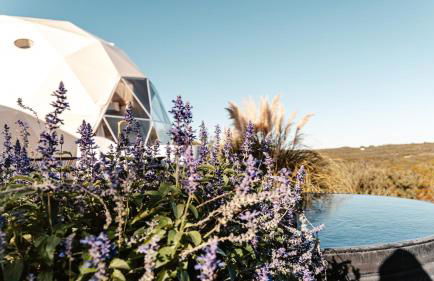 The Disco Domes - Foto 10