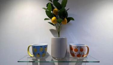 Citrus Chalet, modern light and airy! - Foto 3