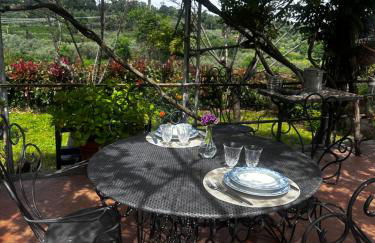 Borghetto Sant’Angelo - Foto 20