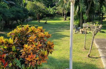 Sítio Refúgio do Lobo - Foto 39