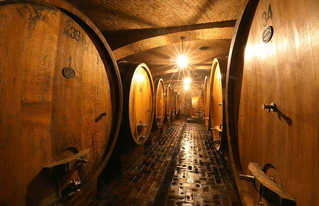 Locanda Dell'Orso Bevitore - Foto 28