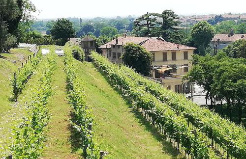 Franciacorta flat & bollicine - Foto 7