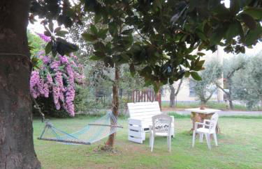 Casa Vacanze “Bouganville” loc Avane Pisa - Foto 7