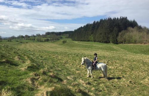 The Barn at Pentregaer Ucha, with tennis court and lake - Foto 25