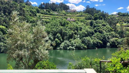 Casa de Gondomil - Foto 1