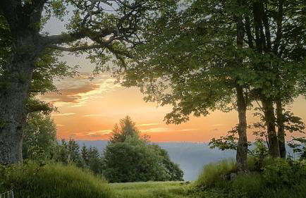 Haus Schlageter - Foto 10