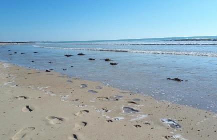 Gîte LES CHANTS DU CREPUSCULE - Foto 49