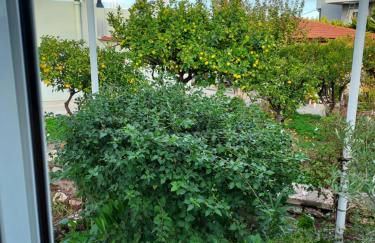 Anastasia's garden house - Foto 55