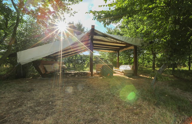 Little Lodge Glamping - Foto 1