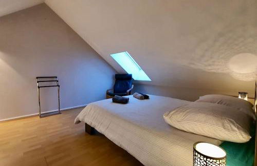 Charmant duplex a deux pas du lac - Foto 13