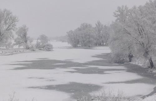 Elbauen-Chalet - Foto 41