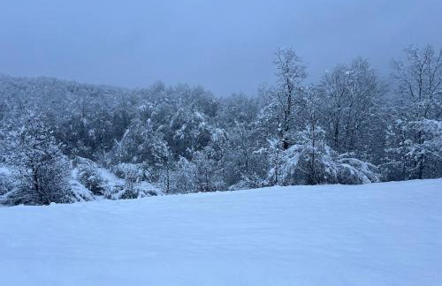 Kuća za odmor LO - Photo 2