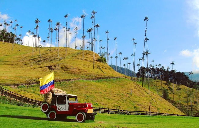 SAN PEDRO SALENTO APARTAHOTEL - Photo 24