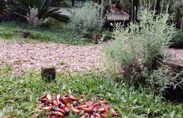 Bangalô dos Alpes de São Chico - Foto 23