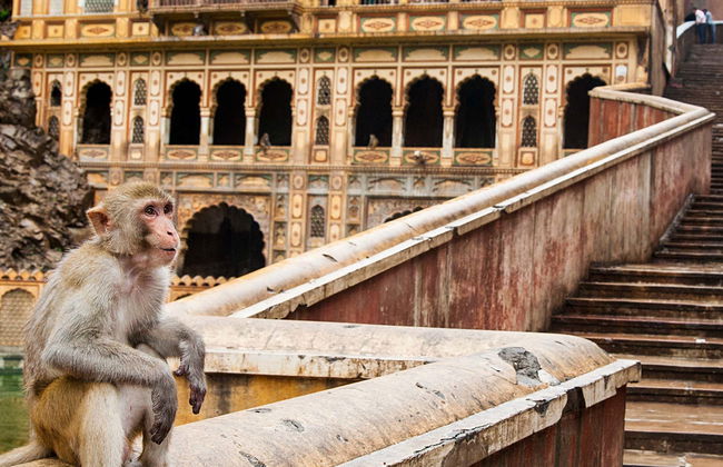 Excursão privada a Jaipur - Foto 1