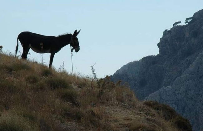 Villa in Makry Gialos Near Sandy Beach - Foto 23