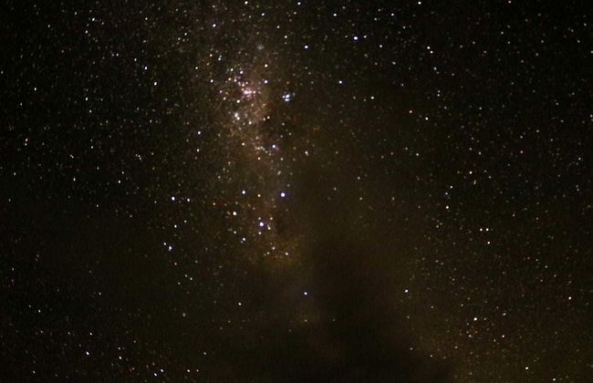 Cubby House Stay - Kaikoura - Foto 64