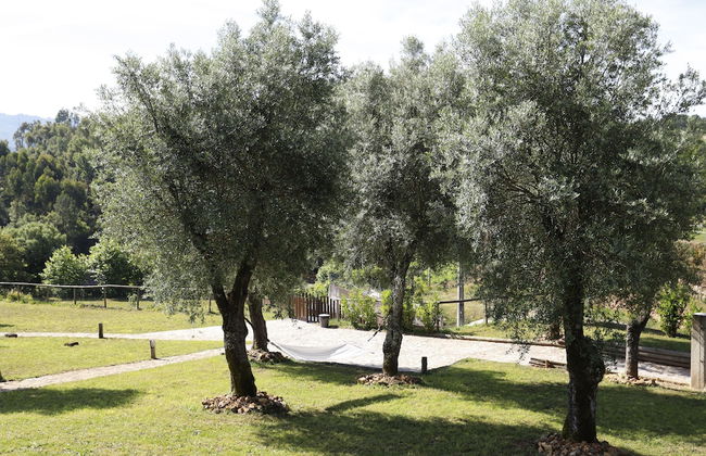 Arco Bungalows Agroturismo & Relax - Foto 19