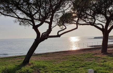 Mediterranean Beach House - Foto 34