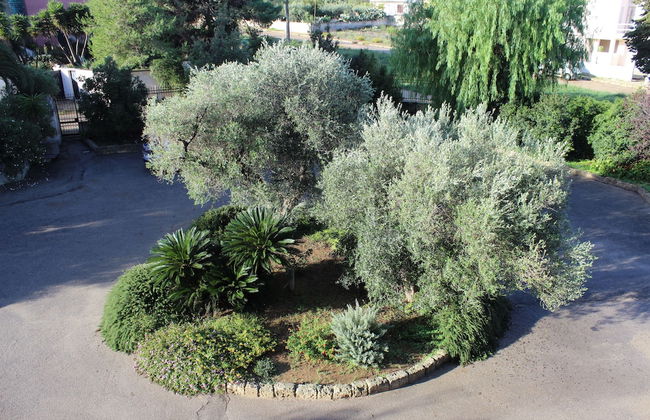 Masseria Pagani - Photo 62