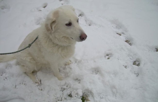 Locanda Strada Della Marina - Foto 23