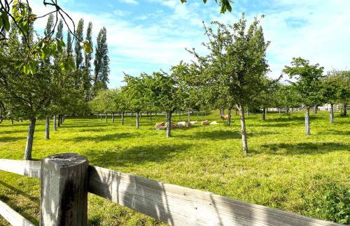 La Bergeronnette - Domaine d'APREVAL - Campagne - Photo 22