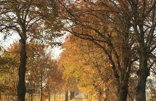 Fewo im Naturschutzgebiet, mit großem Balkon - Photo 45