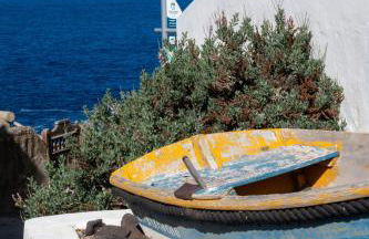 Natura punta - Photo 8