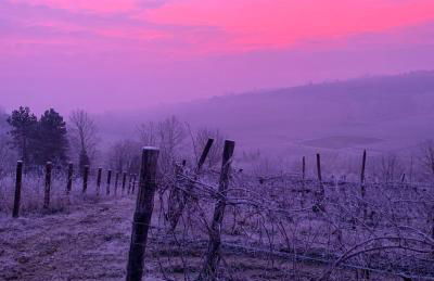 Laficaia Wine Resort - Foto 16