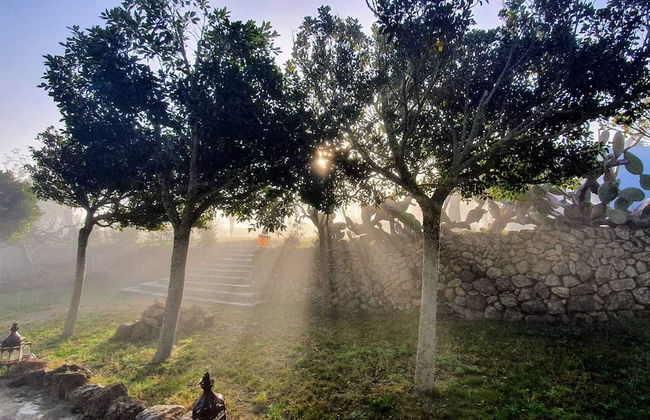 Agroturismo Can Marquet - Foto 70