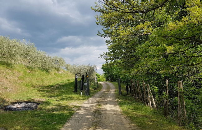 Ca Di Vestro - Foto 29