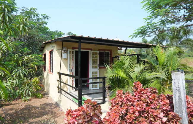 Bimal Farm Home Stay - Foto 12