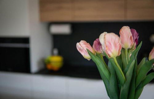 Velo & Wohnen -NEU- Elektroräder inklusive-Sauna-Moselblick - Foto 17