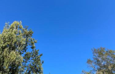 Makowy domek - Foto 40