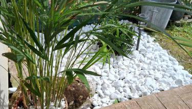 Clos des lys - Foto 3