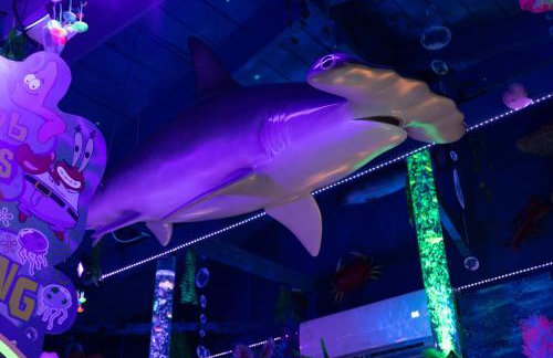 Underwater Voyage by OC Adventure Homes - Foto 50