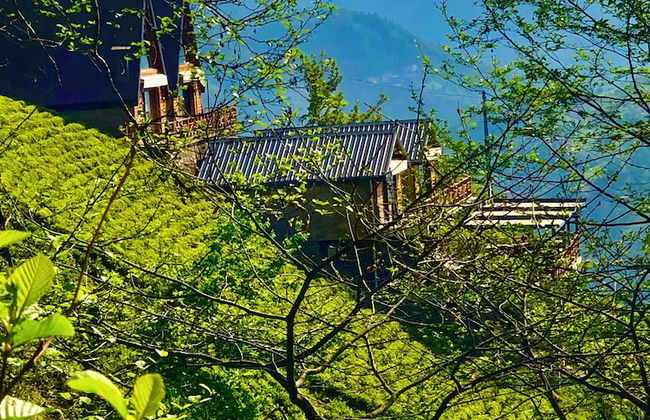 CELAZENİ BUNGALOV - Foto 33